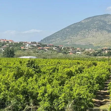 Konispol Mandarin Appartement Murzi